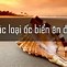 Các Loại Ốc Biển Ăn Được