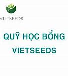 Học Bổng Vietseeds 2022 Là Gì Nếu Được Nhận Tiền Thai Sản