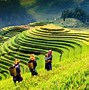 Sapa Lạnh Vào Tháng Mấy