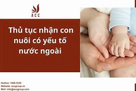 Thủ Tục Nhận Con Nuôi Có Yếu Tố Nước Ngoài